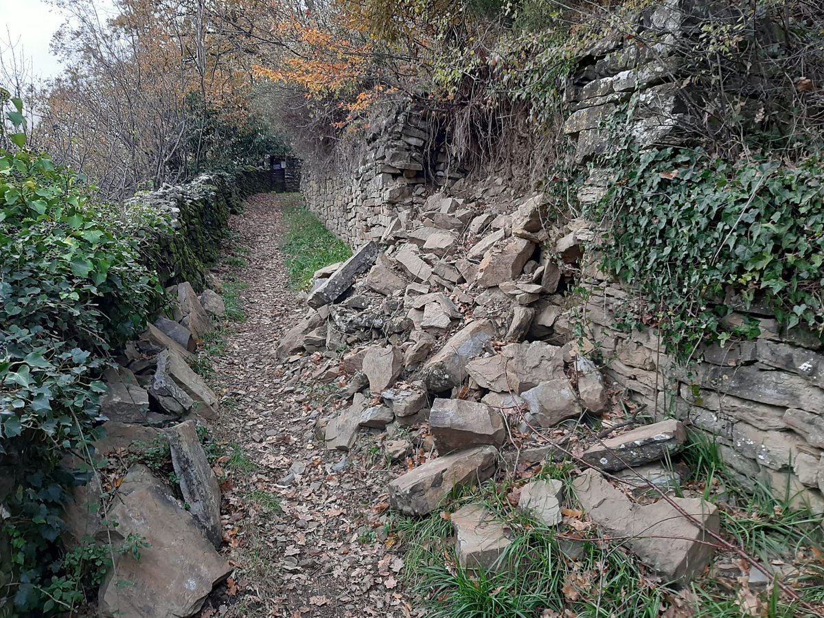 furio_honsell's tweet image. 📢 Questa mattina ho depositato un'interrogazione alla #Giunta regionale riguardo le gravi criticità geologiche e strutturali nell'area di #Trieste. Urge risposta rapida per mettere in sicurezza aree colpite da frane e smottamenti, con l'inclusione di esperti e risorse adeguate