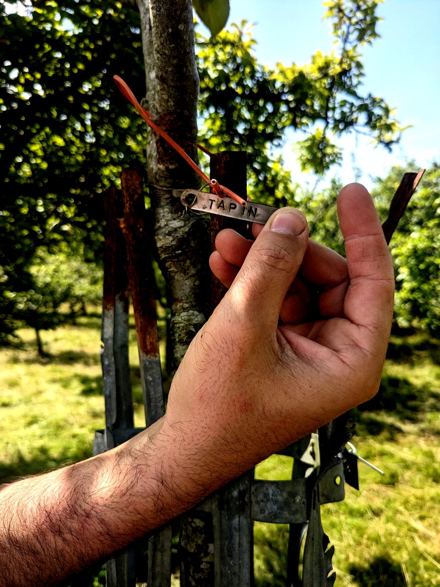 hutin1v2v's tweet photo. #cidre #cider
@paysrevue interroge le #cotentin
J'arpente & ausculte les identités paysagères du Cidre Cotentin chez François Badier & son Clos Moulin.
-
Précommande : https://t.co/MKw8naVp9B
-
#craftcider #cidres #apfelwein #sidro #sidra #bulles #realcider #drinkcider #manche https://t.co/MKYds716Dg