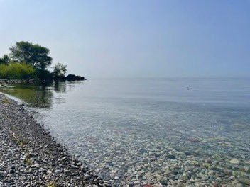 Penalosa_G's tweet photo. When I immigrated to ‘environmentally friendly Canada’, I never imagined this could happen. 
Ontario Premier is tearing down 100s trees for private group to build gigantic SPA size of soccer stadium, 99 yr lease on PUBLIC waterfront!!! Plus $1/2 Bn parking!
#Madness 
@frantasticx https://t.co/7fephBNCn4