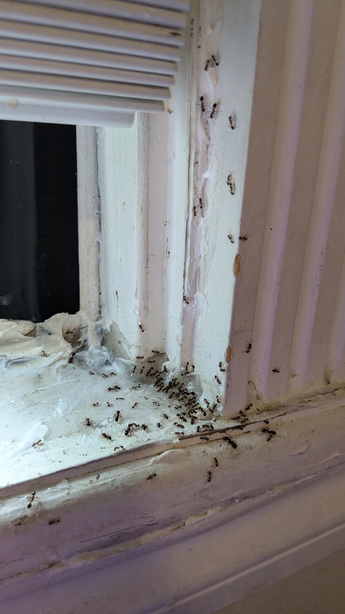 𝔐𝕒n, ℌ𝕖𝕔𝕜 tweet media