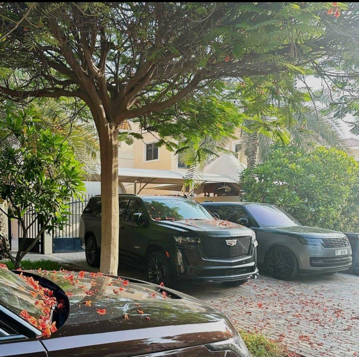 Compound of an African Politician