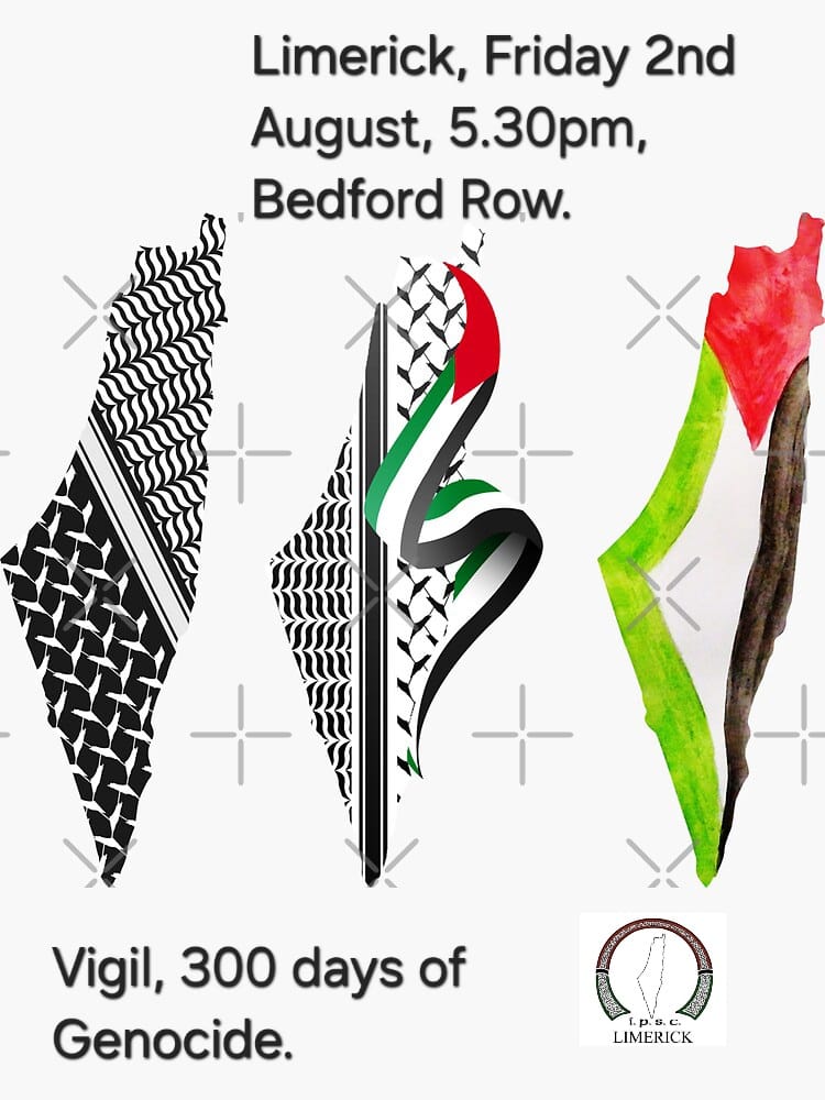 This week's Limerick action for Palestine is on Friday, a vigil to mark 300 days of apartheid Israel’s genocide in Gaza.
Friday | August 2nd
Bedford Row | 5:30 PM
❤🖤🤍💚