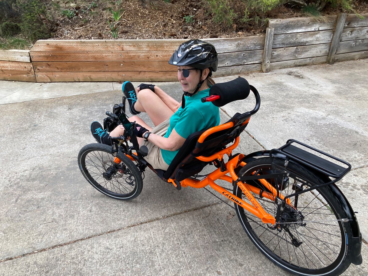 Adding #childlesscatrikelady to my catalog.