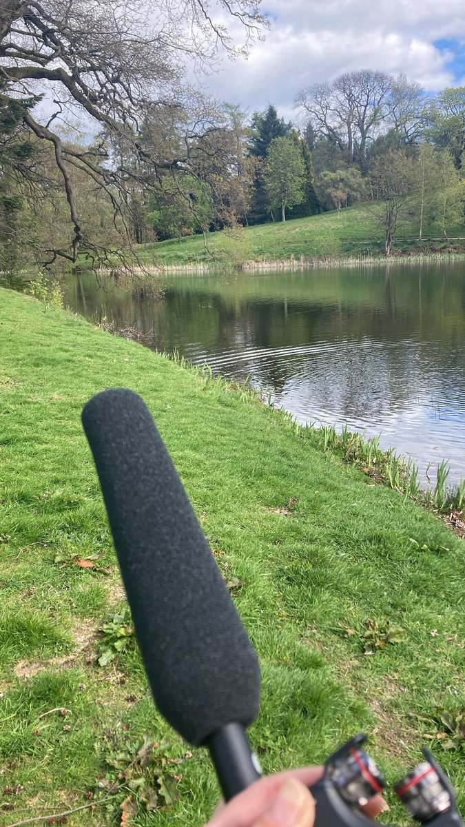 Clare Andrews (@clarepandrews) on Twitter photo <a href="/StirUni_Psych/">Stirling Uni Psych</a> #Masters students in #HumanAnimalInteractions bring together their passions for #animals & research in many exciting ways. Here's one of our students in action, recording crow calls on our campus to research how #wildlife responds to humans 🐦⬛ #HAI <a href="/BERG_Stirling/">BERG, Stirling Uni</a> <a href="/StirUni_Psych/">Stirling Uni Psych</a> #Masters students in #HumanAnimalInteractions bring together their passions for #animals & research in many exciting ways. Here's one of our students in action, recording crow calls on our campus to research how #wildlife responds to humans 🐦⬛ #HAI <a href="/BERG_Stirling/">BERG, Stirling Uni</a>