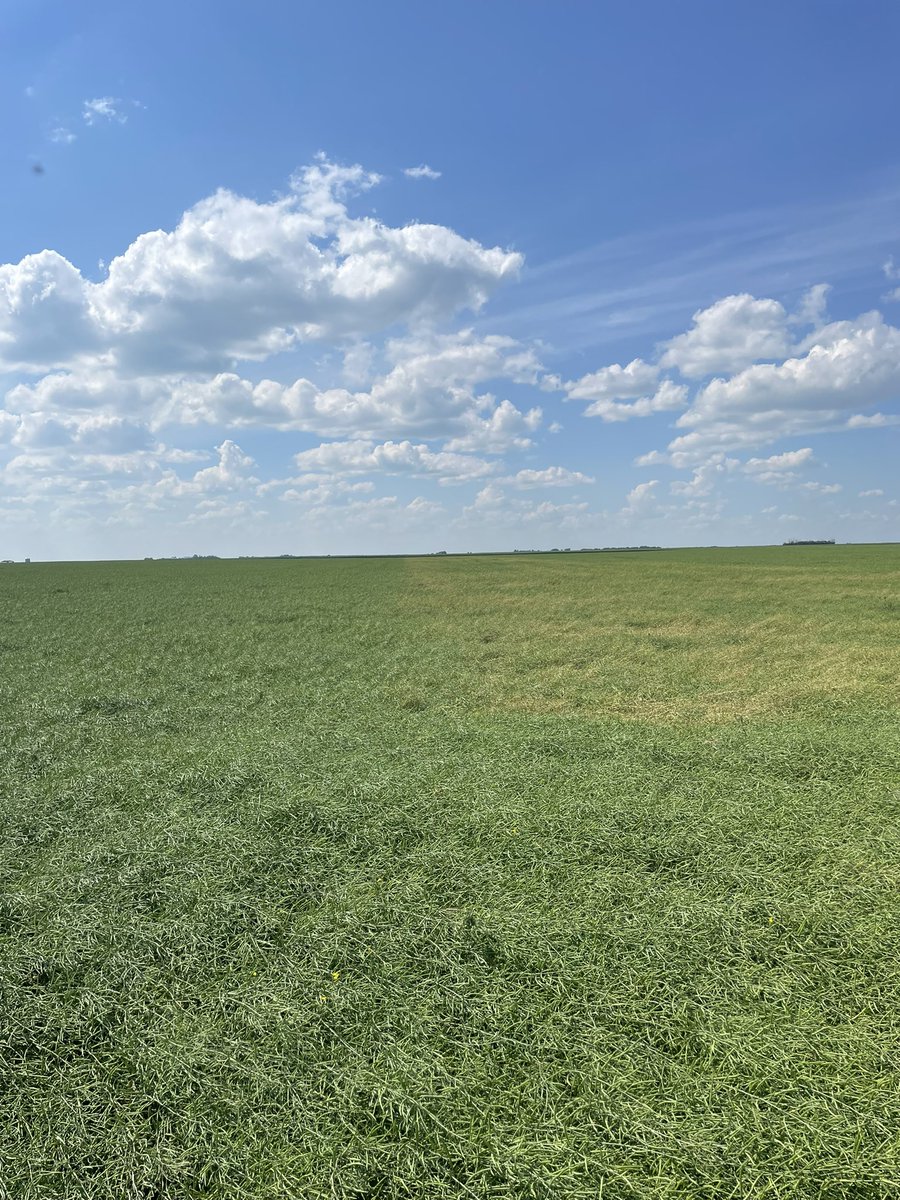 Jessica Runge tweet media