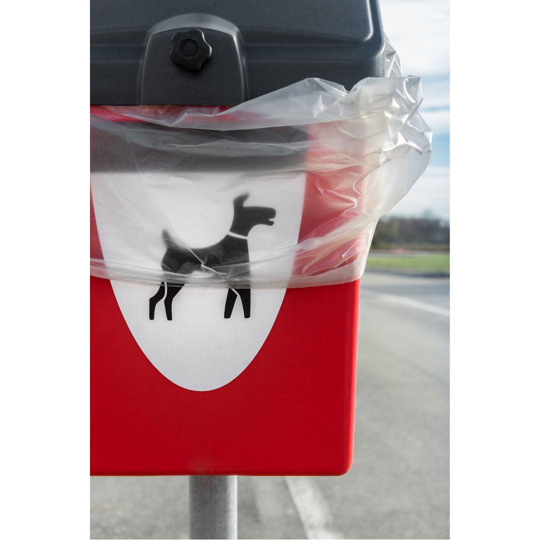 Witney Town Council (@witneytowncounc) on Twitter photo Concern over increased dog- fouling in public spaces. Carry bags with you and make it your business to deal with your dog’s business. Read full story
witney-tc.gov.uk/news/community… C Concern over increased dog- fouling in public spaces. Carry bags with you and make it your business to deal with your dog’s business. Read full story
witney-tc.gov.uk/news/community… C