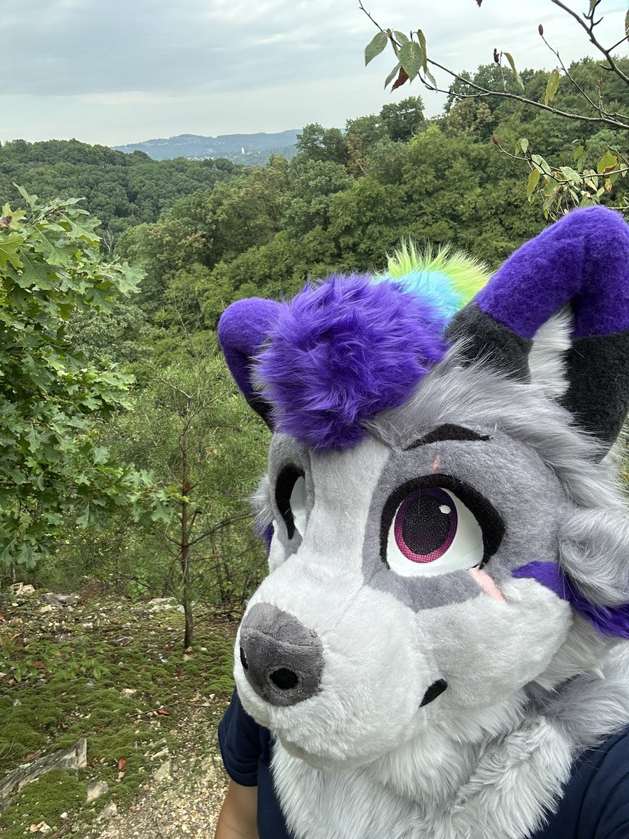 I could see for miles… if only I could see!

#furry #fursuit #fursuiter #hiking #nature #chiquesrock