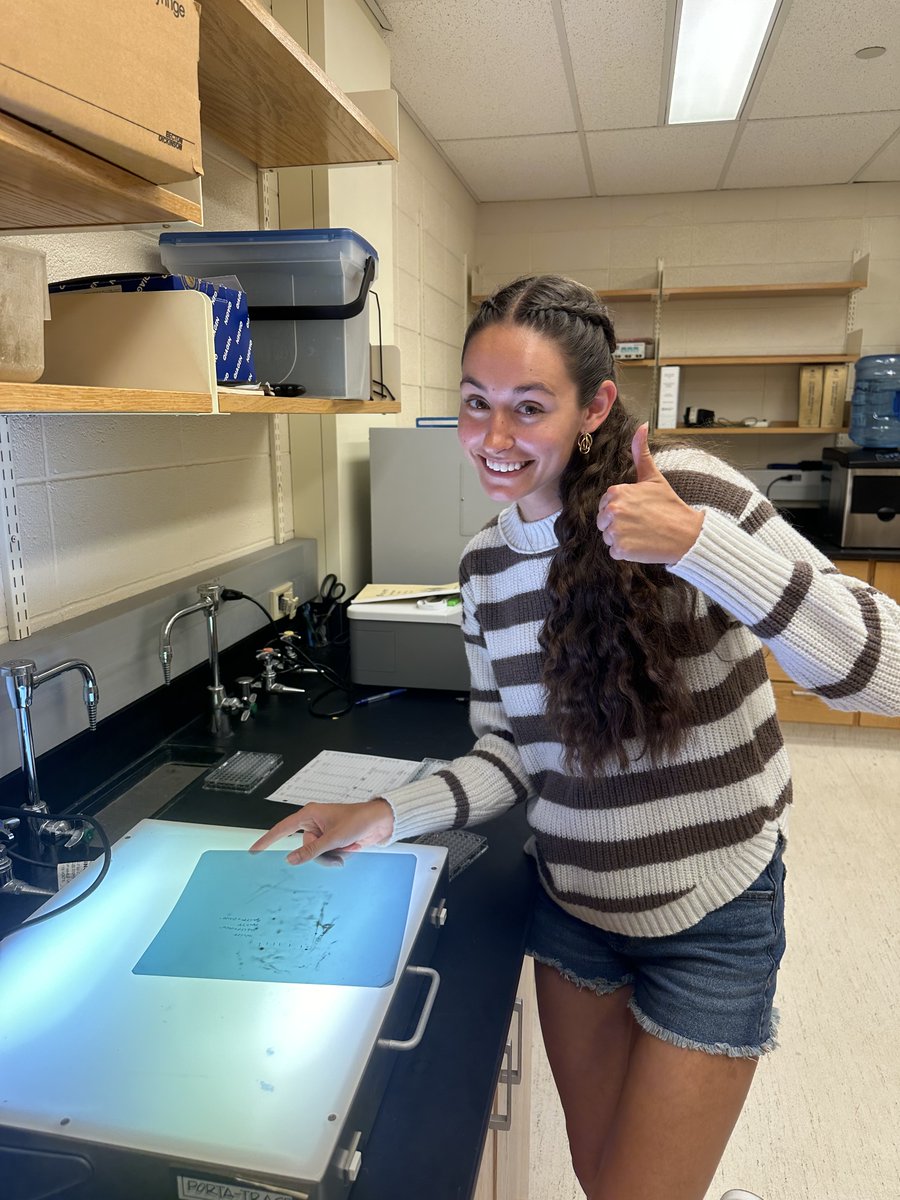 Honors Student Spotlight:
Jetta Harmon, Sophomore majoring in Biology (Pre-Medicine).
"This summer, I am researching inflammation and the response that lactoferrin(LTF) has on inflammation. My goal is to isolate LTF to gain a better understanding of its function in inflammation."