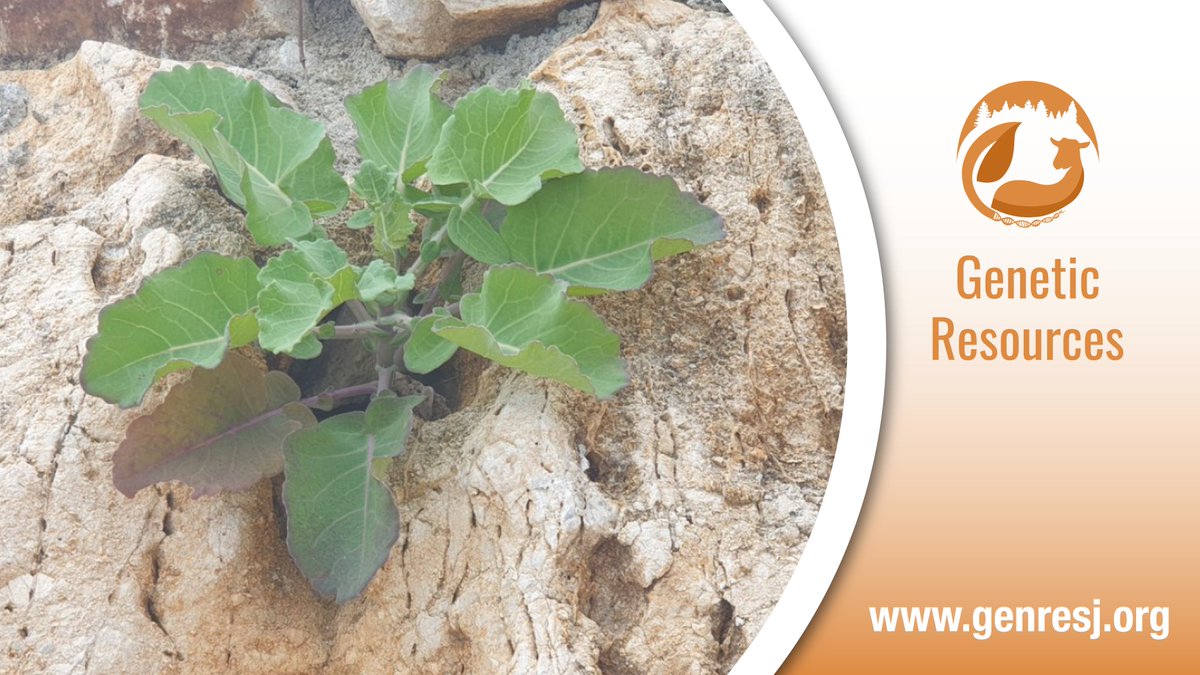 Genetic Resources journal tweet media