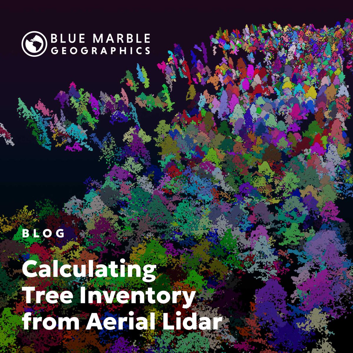 BlueMarbleGeo's tweet photo. 🌲 Remote sensing has revolutionized the way we assess modern forests. Learn about calculating tree inventory from aerial lidar in this blog by Amanda Lind: https://t.co/PDlHZBxEOy
#GlobalMapper #Forestry #RemoteSensing #DroneData #UAV https://t.co/yOkJSskKXC