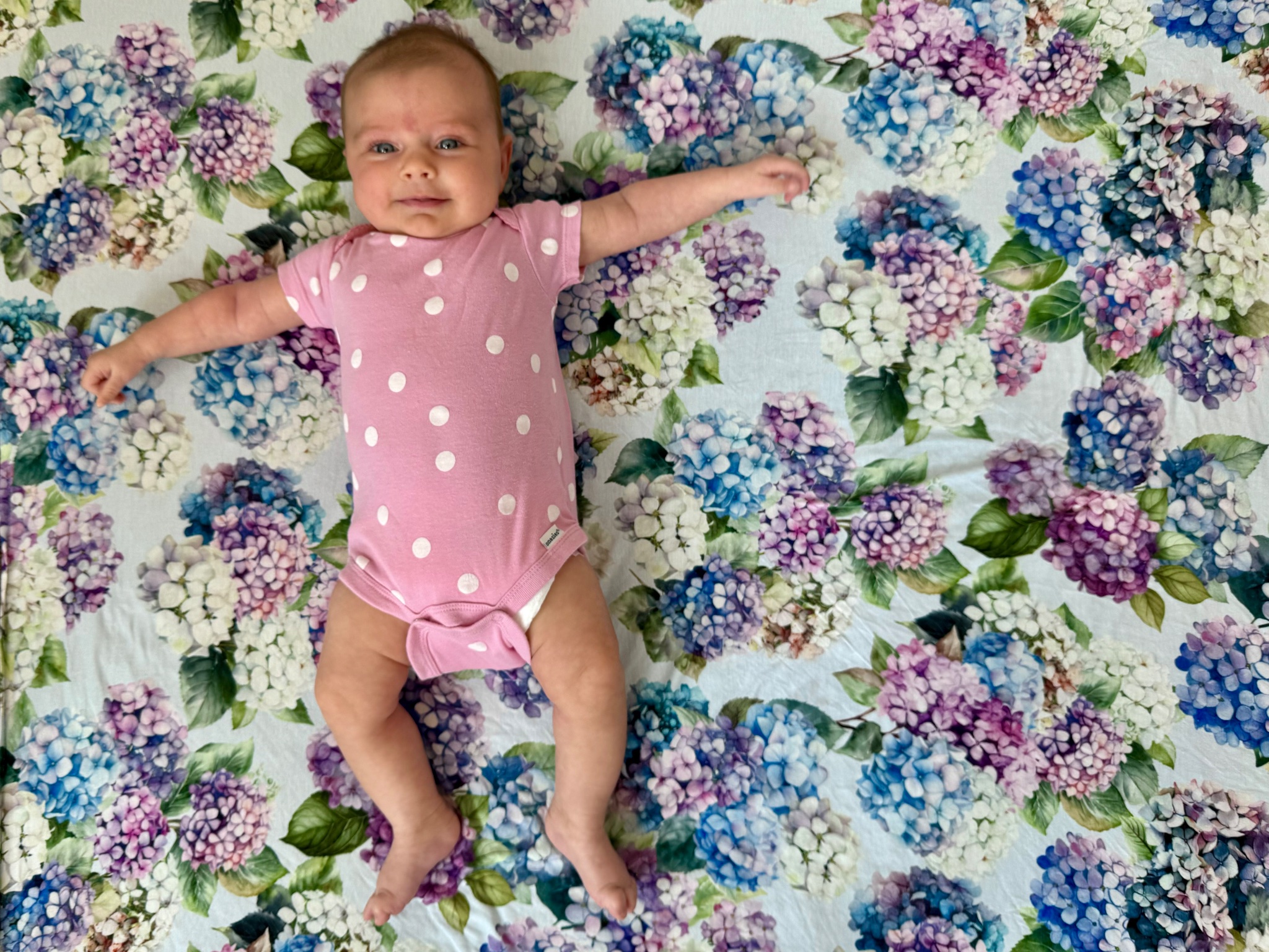 Slysssa on X Smooshy Squishy at 2 months I literally just hit copy paste https t 9q6Q5RLjp3 X