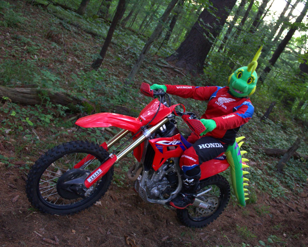 Sallos (@lizardboisallos) on Twitter photo Let's going trail riding! Let's going trail riding!