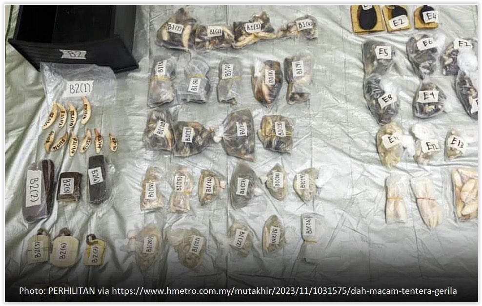 Kanitha Krishnasamy tweet media