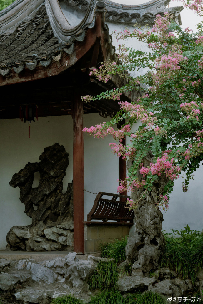 ChinaPearl52076's tweet photo. Morning bliss with the beauty of crape myrtle! " Without crape myrtle, there's no garden" Captured by蒽子 https://t.co/VyqeMRdfvS