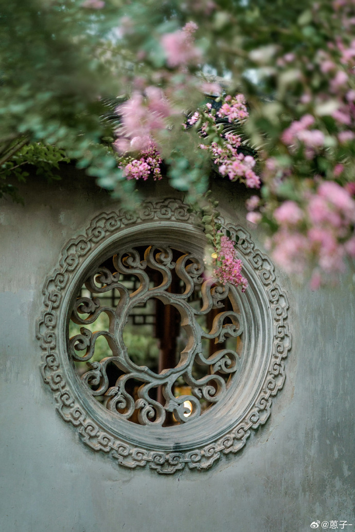 ChinaPearl52076's tweet photo. Morning bliss with the beauty of crape myrtle! " Without crape myrtle, there's no garden" Captured by蒽子 https://t.co/VyqeMRdfvS