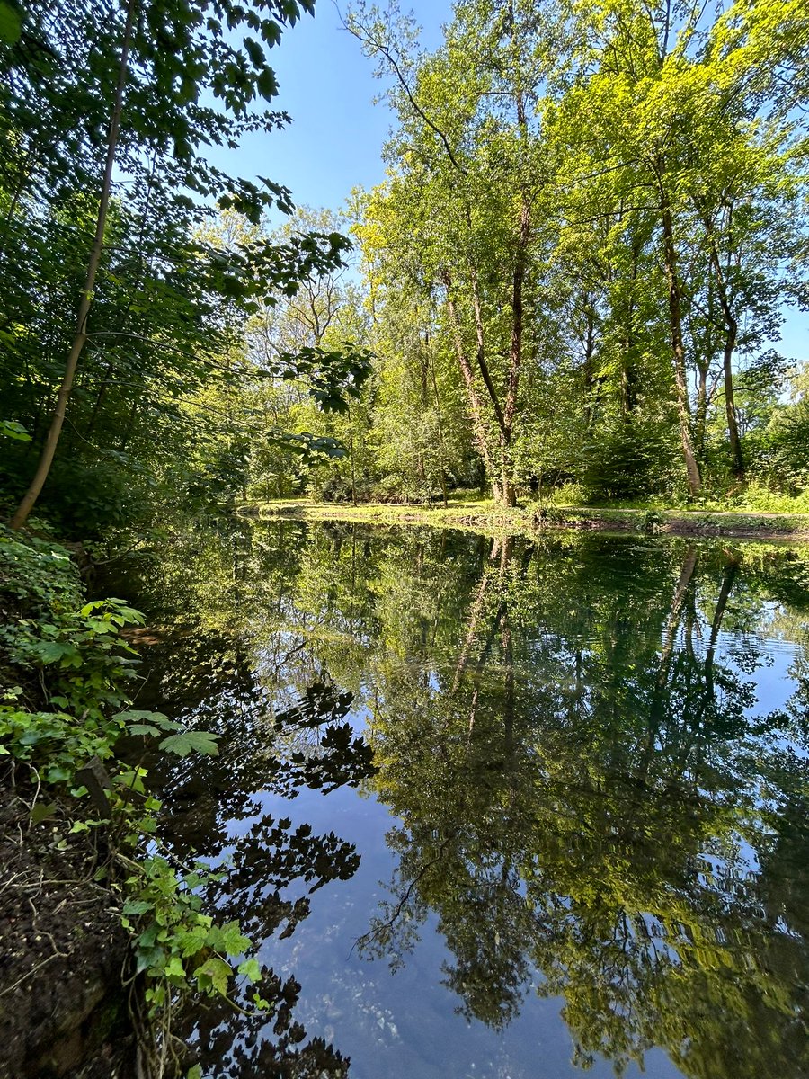 VilleArras's tweet photo. [𝐅𝐑𝐀𝐈𝐂𝐇𝐄𝐔𝐑] ☀️ Les températures augmentent ces derniers jours
🌳 La #Villearras possède de nombreux parcs, jardins et bois. Autant d’îlots où souffler à l’ombre ou au bord de l’eau
🔗 Découvrez les ici : https://t.co/TQmmLuZRJ1 https://t.co/7GeG7oScrY
