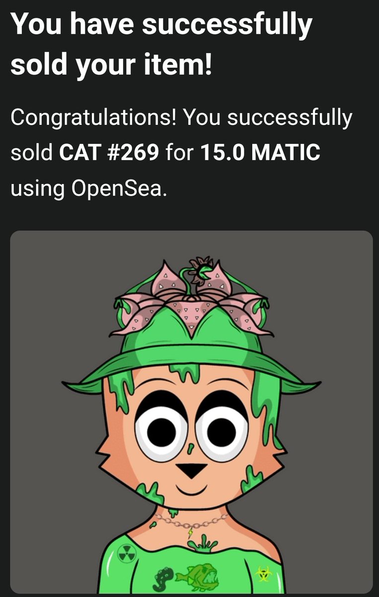 CatsNFT X ChibiBoys 🎨 tweet media