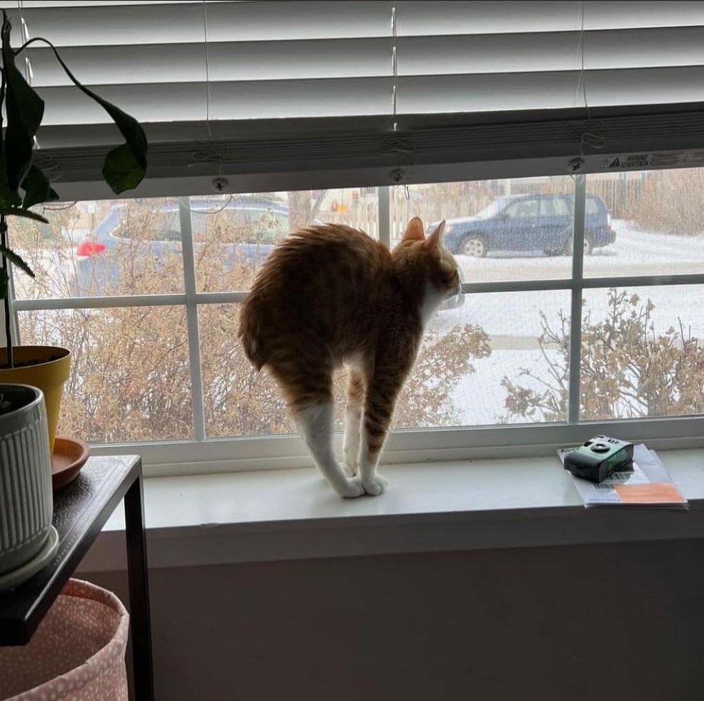 biiig stretch