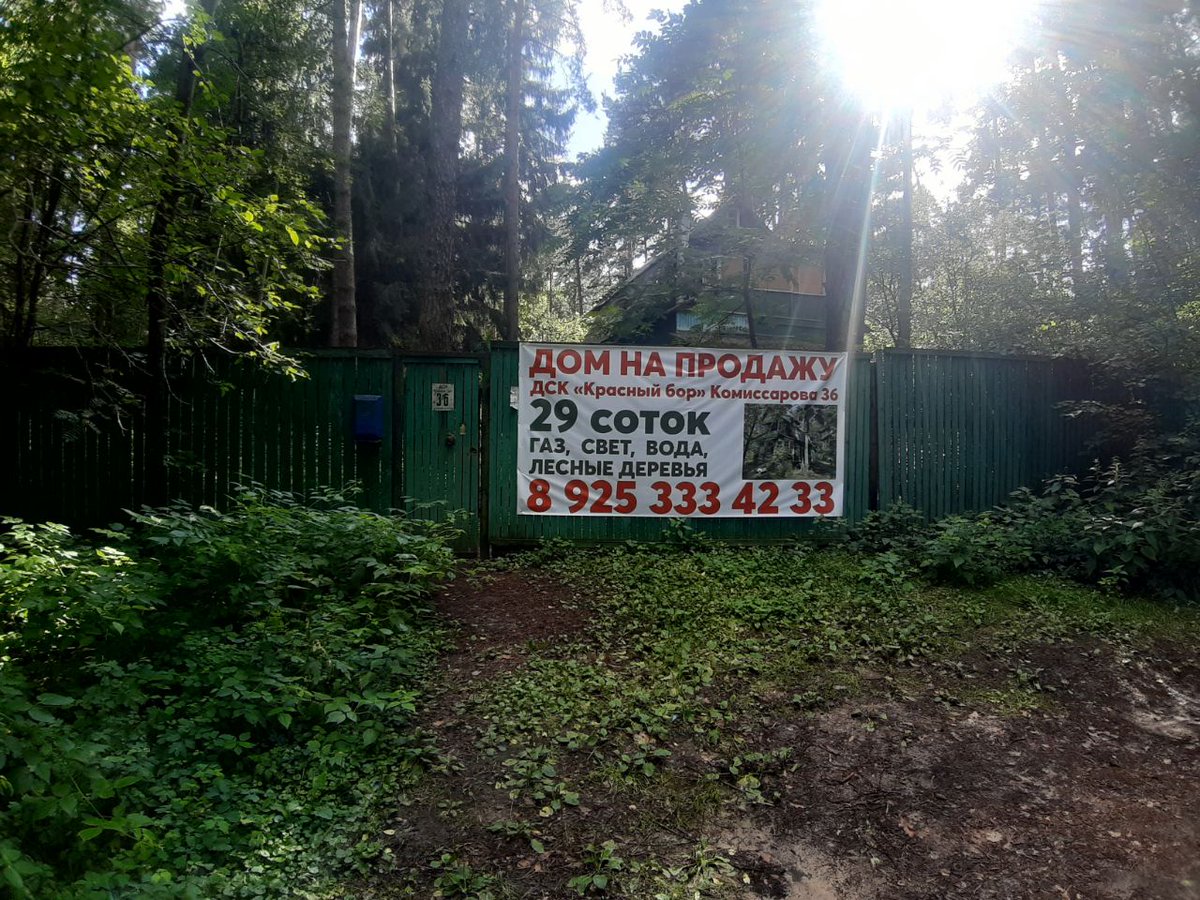 Alexey Vesker tweet media