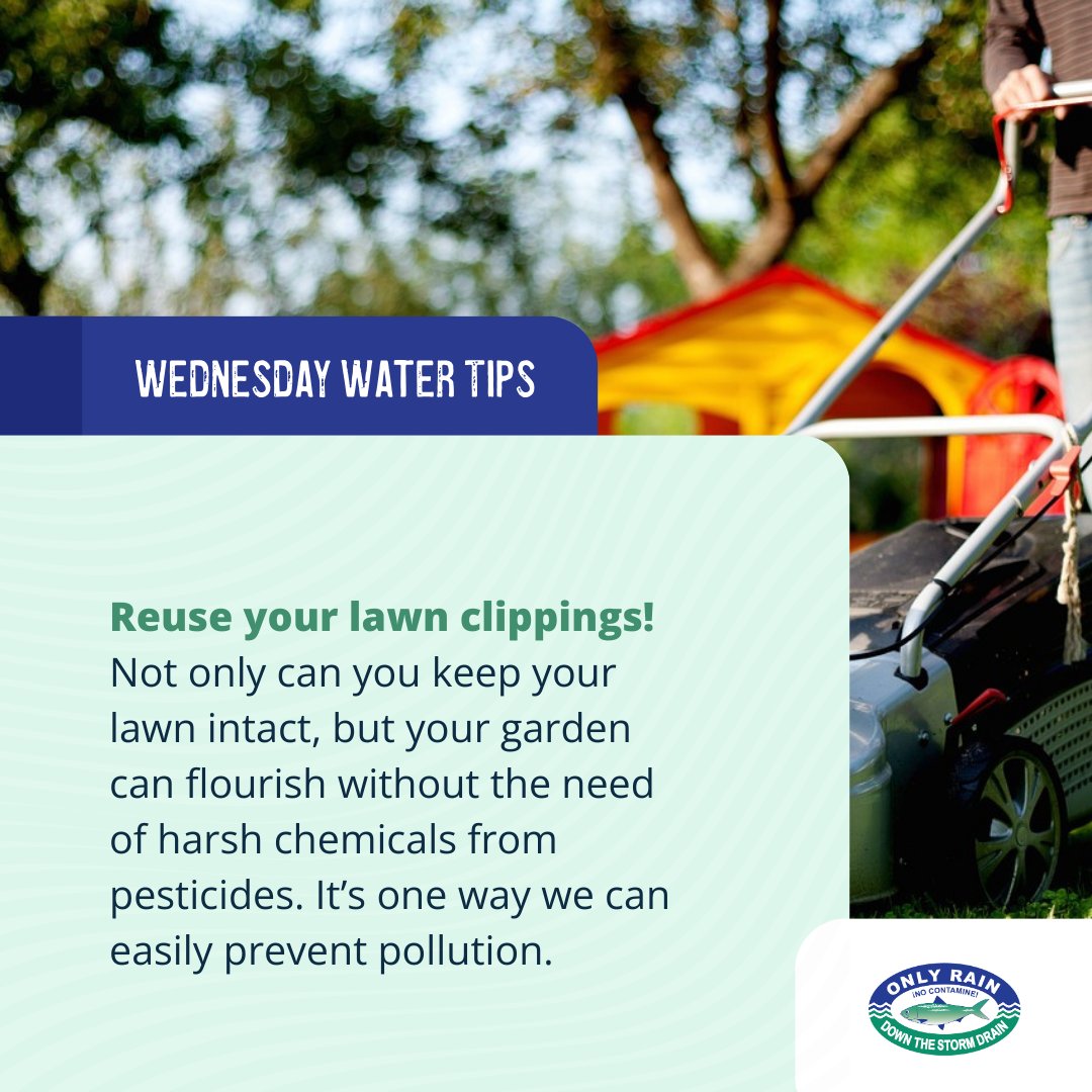 onlyrain_nova's tweet photo. This week, our #WednesdayWaterTip highlights lawn maintenance. Grass clippings are a great way to fertilize your gardens, just make sure they don’t blow away. This method prevents excess nutrients & chemicals from draining into our waterways. #OnlyRain https://t.co/odXcfOKRzH https://t.co/K2RdlGuyJW