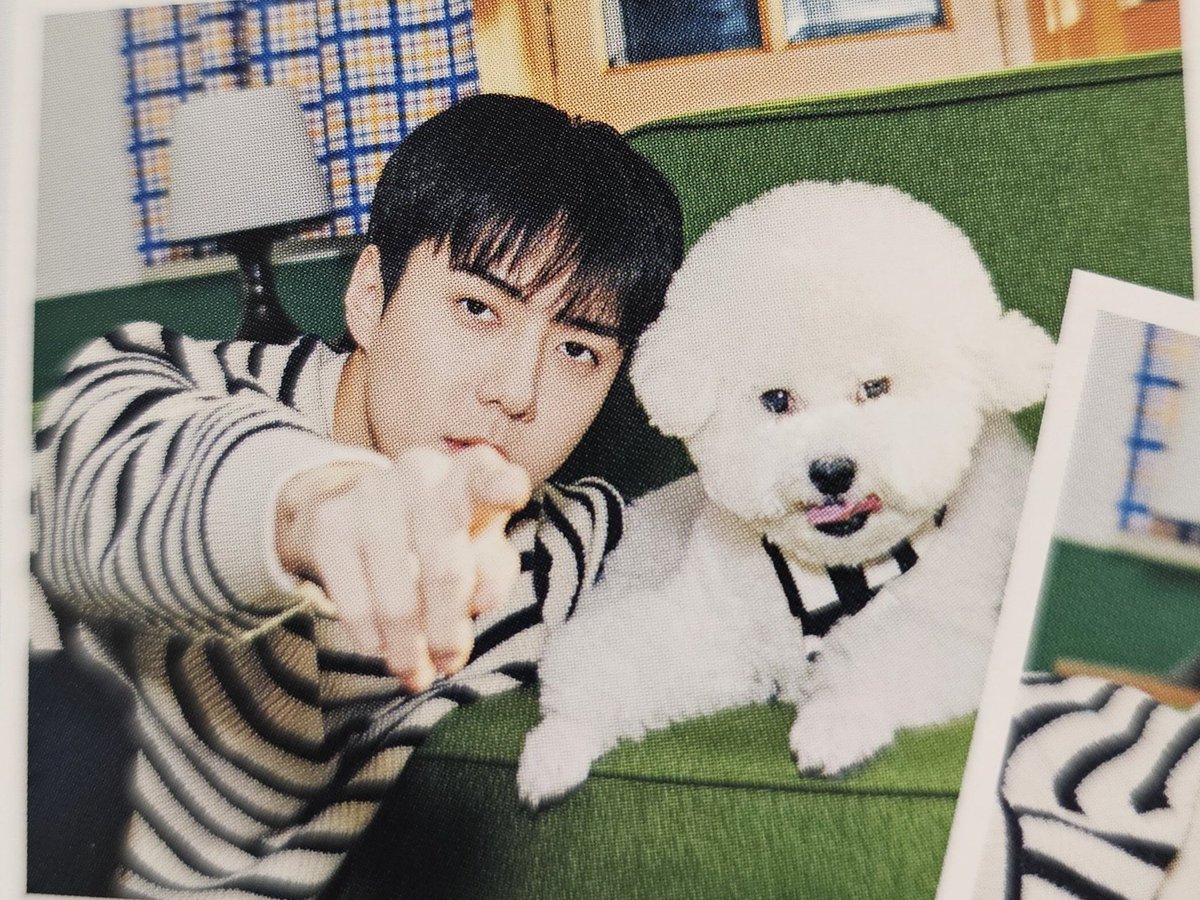 milkteus's tweet image. 📸🐥🐩❤️