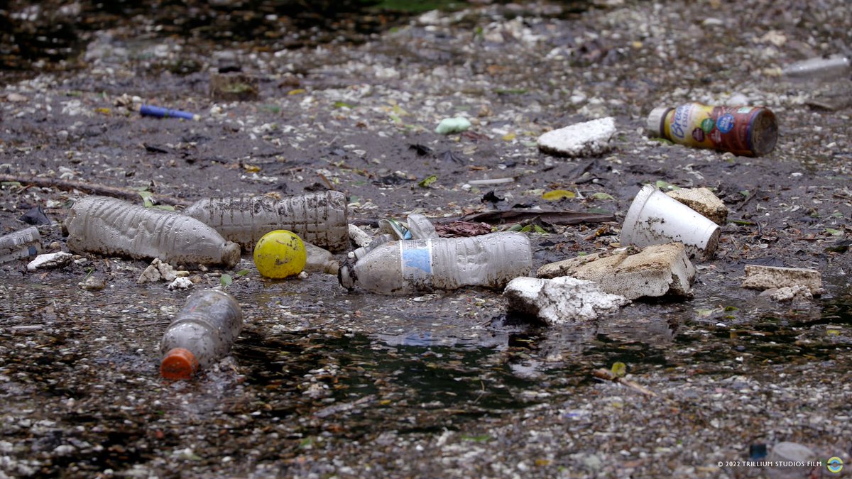 Let us end this type of pollution today with strong legislation for update our #MAbottlebill
Please! <a href="/senatorbarrett/">Senator Mike Barrett</a> <a href="/cindycreem/">Cynthia Creem</a> <a href="/jeffroy/">Jeffrey N. Roy</a> <a href="/RonMariano/">Speaker Ron Mariano</a> <a href="/RepMichlewitz/">Aaron Michlewitz</a> <a href="/RepUltrino/">Rep. Steve Ultrino</a> <a href="/repdonato/">Paul J. Donato</a> <a href="/JoeMcGonagle_/">Joe McGonagle</a> <a href="/SenJasonLewis/">Jason Lewis</a>