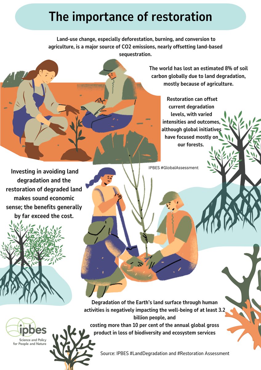 Restoration can offset current degradation levels, with varied intensities and outcomes. 🌏 ——<a href="/IPBES/">ipbes</a> #GlobalAssessment 

Learn more about why restoration could be part of #GenerationRestoration.

via <a href="/UNEP/">UN Environment Programme</a>