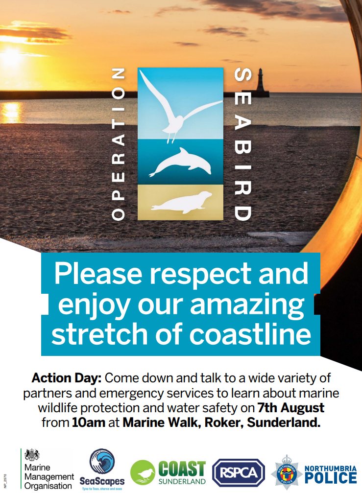 🐬We are teaming up again with <a href="/northumbriapol/">Northumbria Police</a>  
and local partners as part of Operation Seabird. The aim is to raise awareness and promote responsible behaviour around marine wildlife. So if you are in the  #sunderland area come and say hello 🐬 #seabirdop #marinewildlife #coast