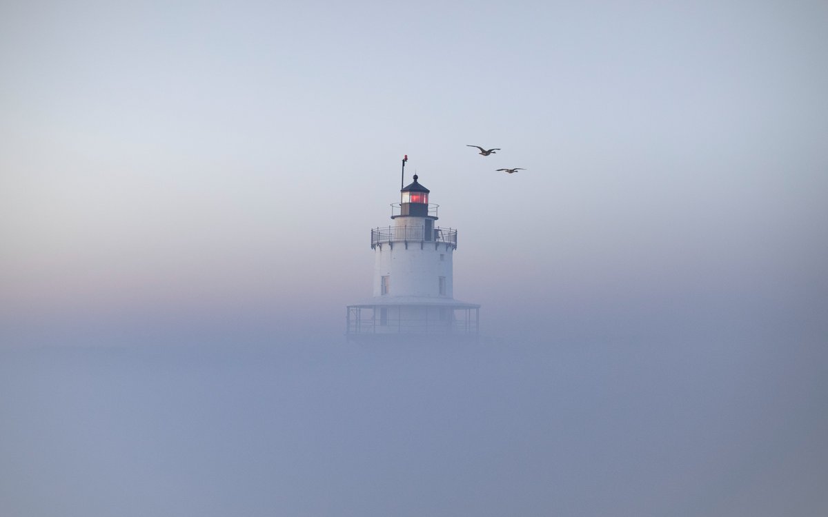 See all the winners of our 2024 Frame the Bay photo contest! cascobay.org/frame-the-bay-…

Photo: Spring Point Ledge Lighthouse by Petar Strbac, winner of Best in Show.