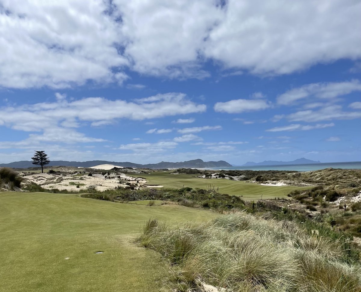 BK Top Golf tweet media