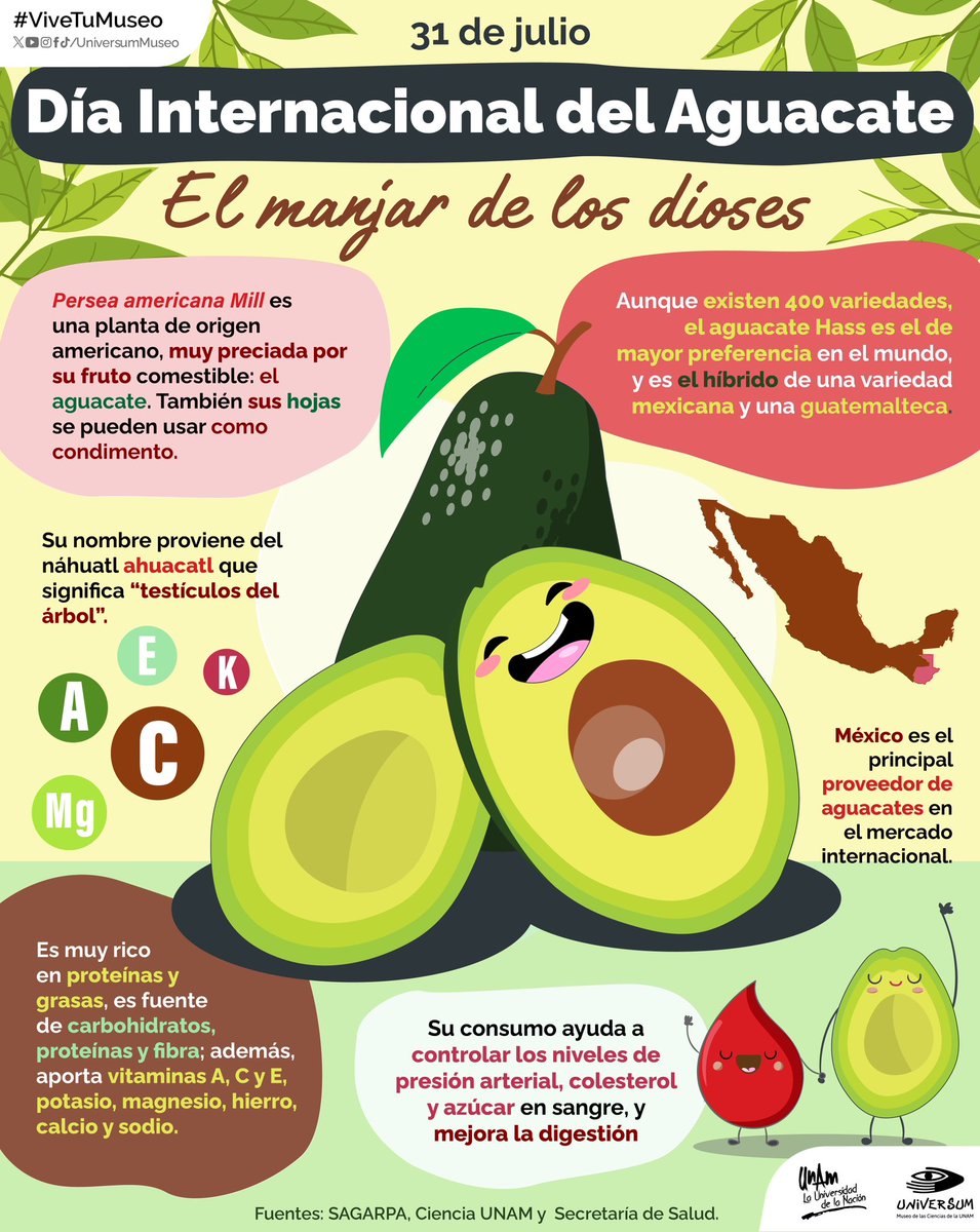 UniversumMuseo's tweet photo. #UnDíaConoHoy es el día del aguacate 🥑. ¿Conoces todos sus beneficios?
•
#ViveTuMuseo https://t.co/JNohK8UjDD