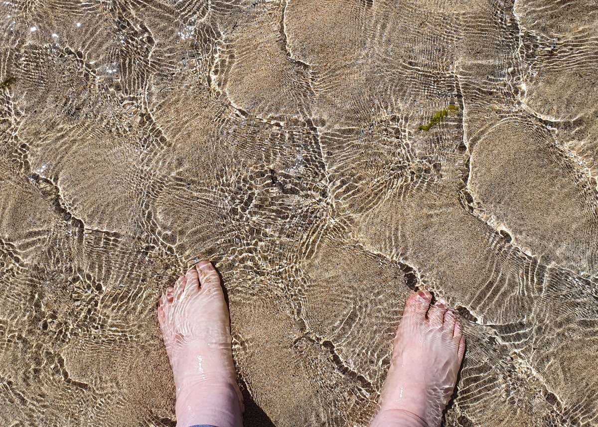 Noss Head Lighthouse Keeper's Cottage tweet media