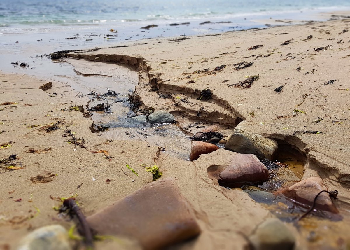 Noss Head Lighthouse Keeper's Cottage tweet media