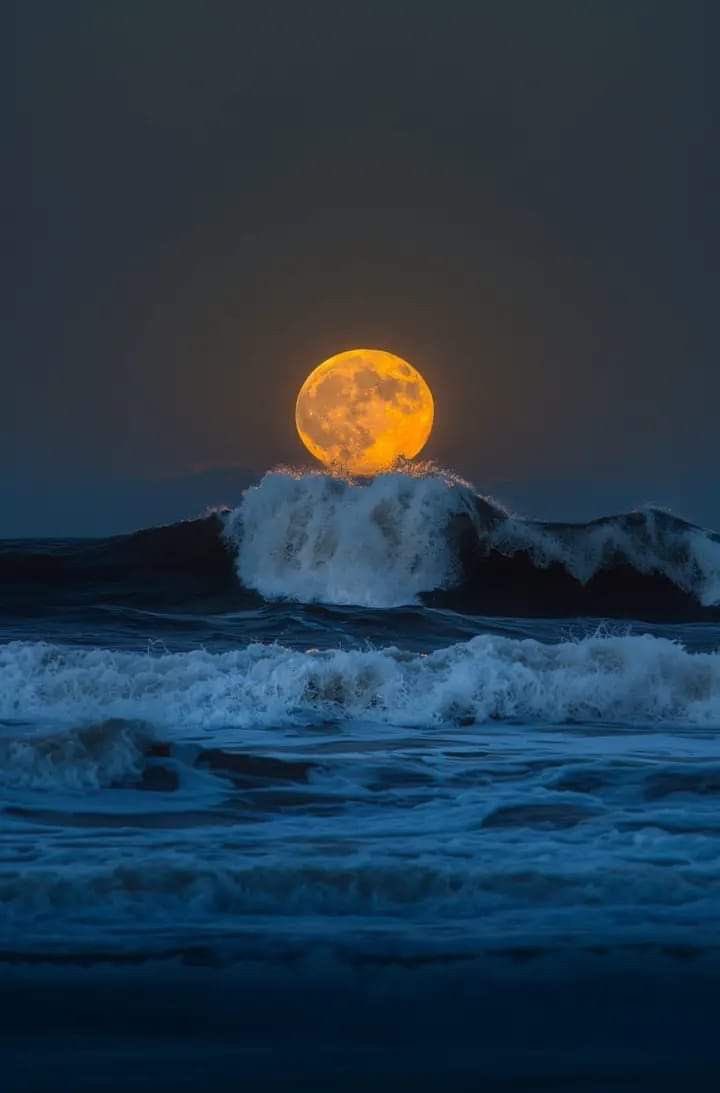 MOON LOVER tweet media