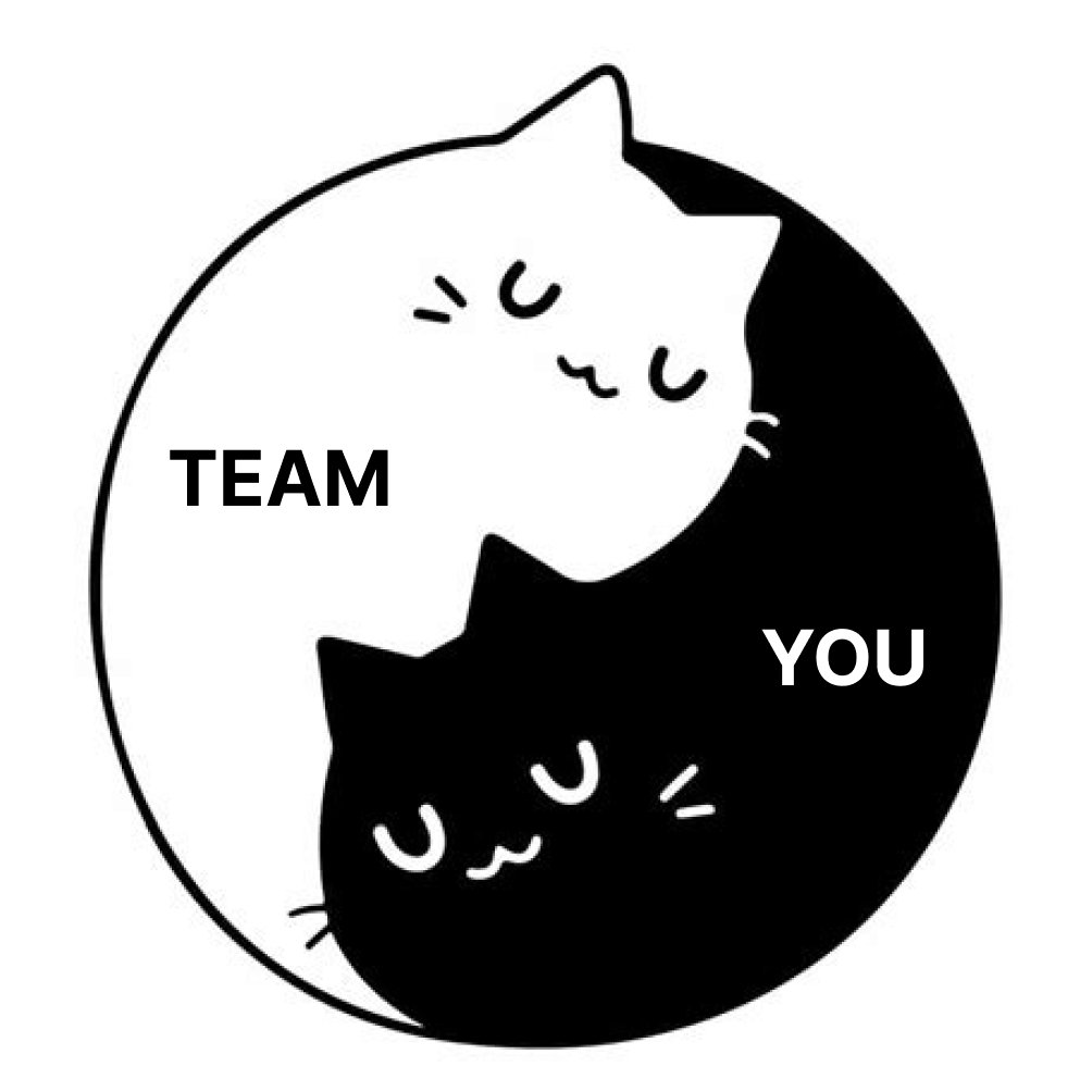 meow tweet media