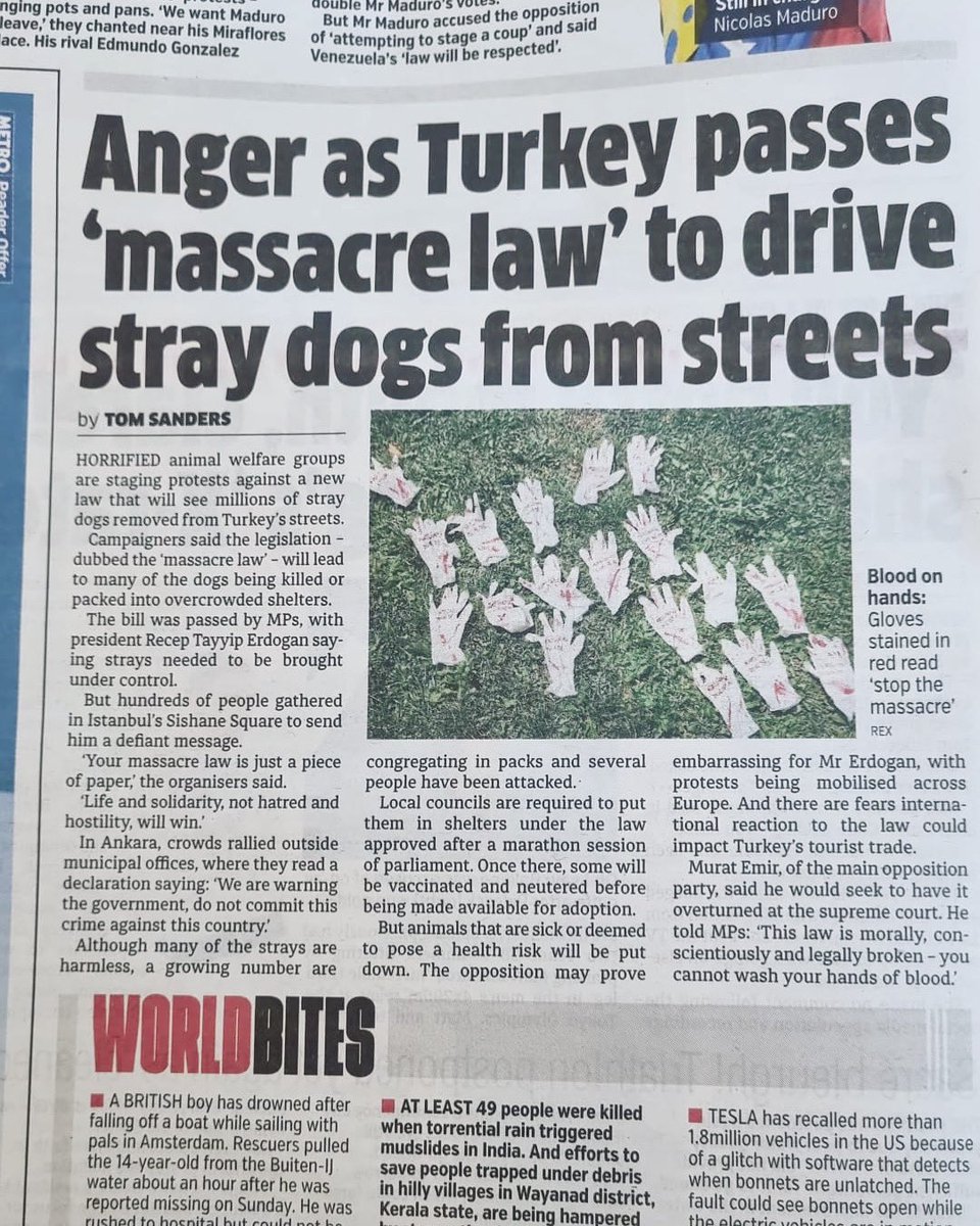 ladyvaio's tweet photo. #turkey you are a disgrace! A sterilisation project is what’s  needed not a massacre! You are killing innocent dogs. 😡 A young vet in Turkey ended his life because he couldn’t bear the thought of witnessing the dog masscre! 😢💔 #BoycottTurkey https://t.co/k1wcG1nGi0