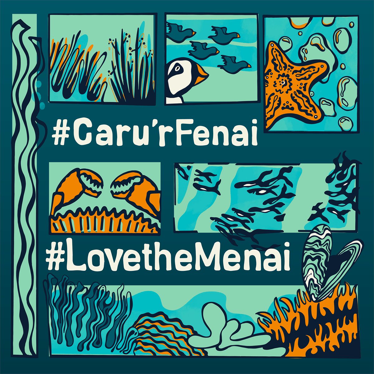 We’re joining the #LovetheMenai campaign with <a href="/menaiforum/">Menai Strait Partnership Forum</a>, a vital initiative established by the Menai Strait Fisheries Order Management Association and @NorthWalesRiversTrust, to showcase the importance of Strait and the need to protect it.