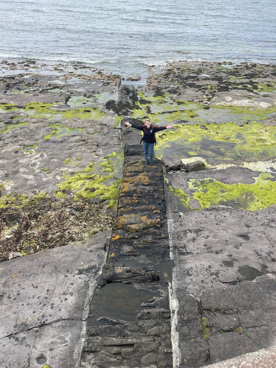 Dublin Magmatism Group tweet media