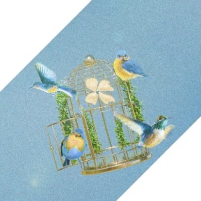 디어... 프롬... 같은 꽃이네