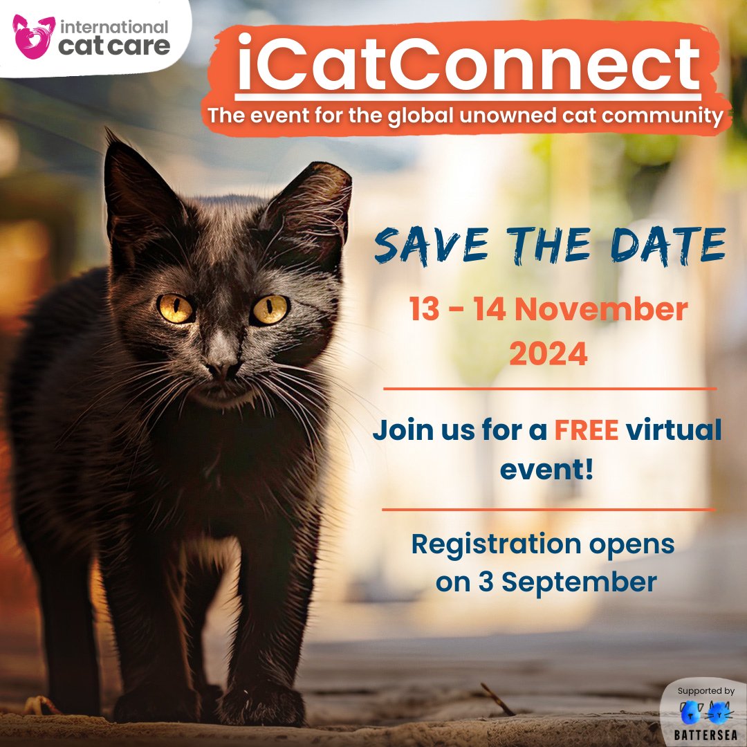 😻 We’ve got a FREE virtual event planned on 13-14 Nov for anyone working with #UnownedCats, from volunteers, to foster carers, homing centres and community cat caregivers. #iCatConnect

Registration opens 3 Sept

Get updates 👉 confirmsubscription.com/h/i/CE09DF9992…

Supported by <a href="/Battersea_/">Battersea</a>