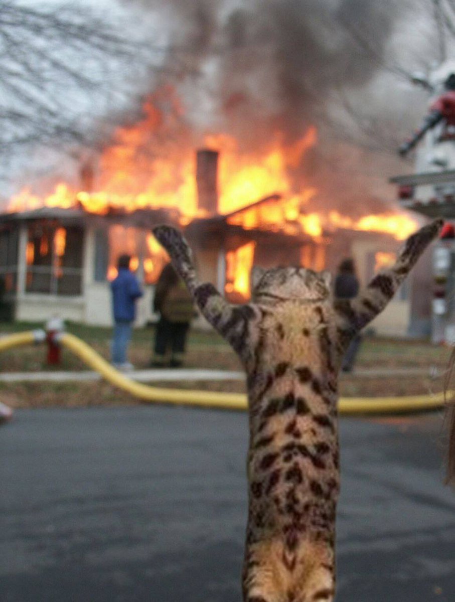 <a href="/TeTheGamer/">Te’ 𓃵</a> $adon