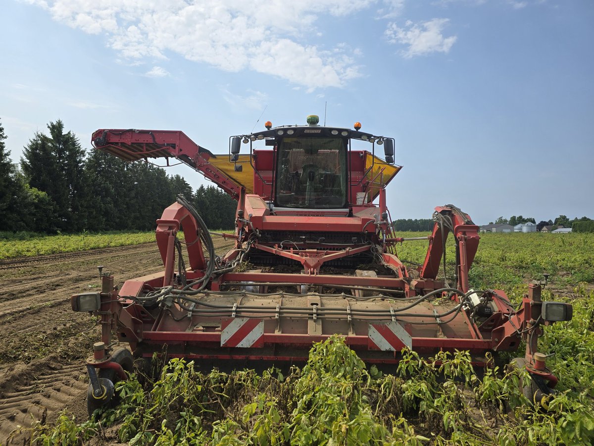 Anselm Lankhuijzen tweet media