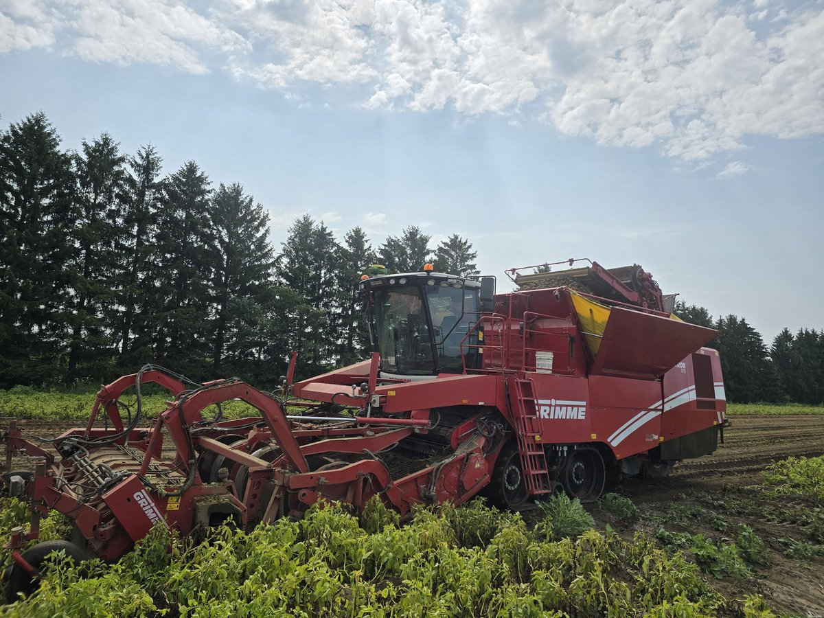 Anselm Lankhuijzen tweet media