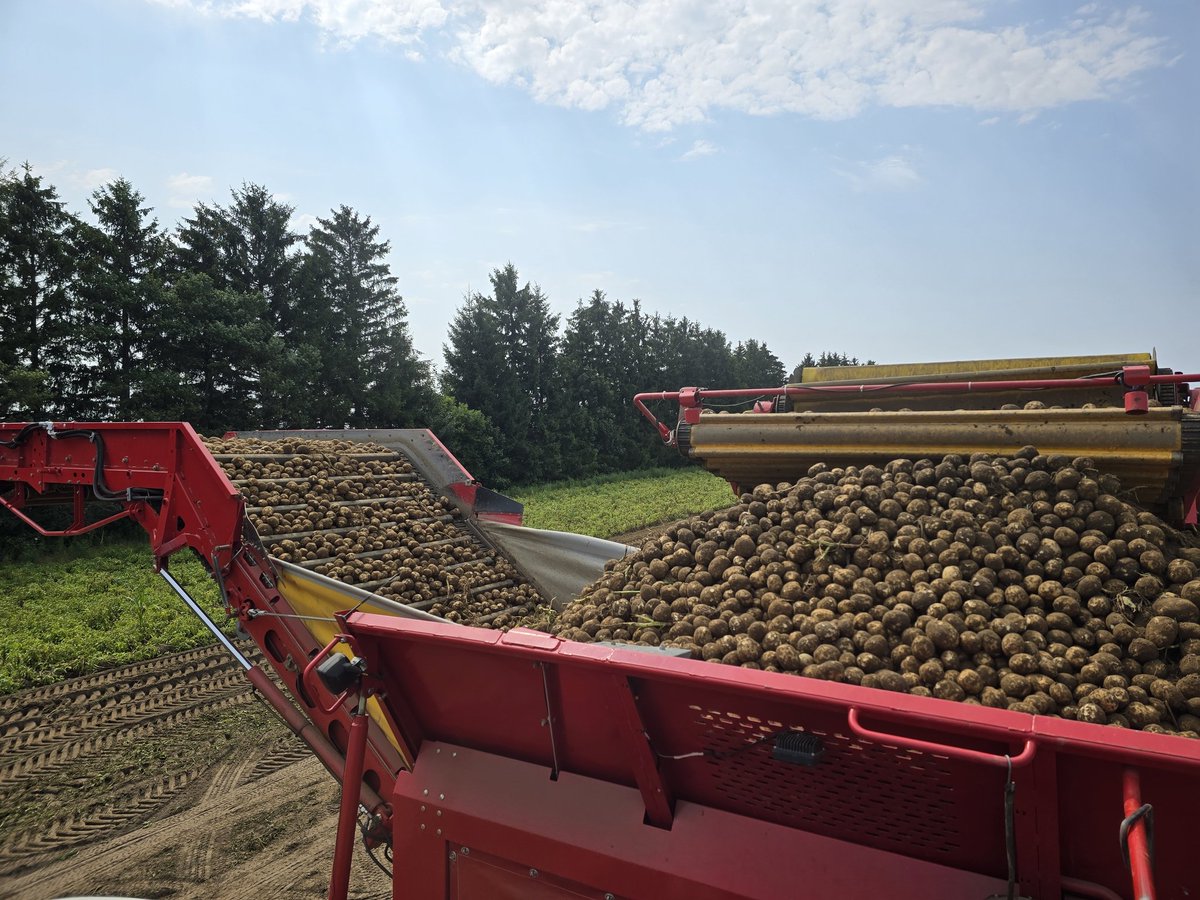 Anselm Lankhuijzen tweet media