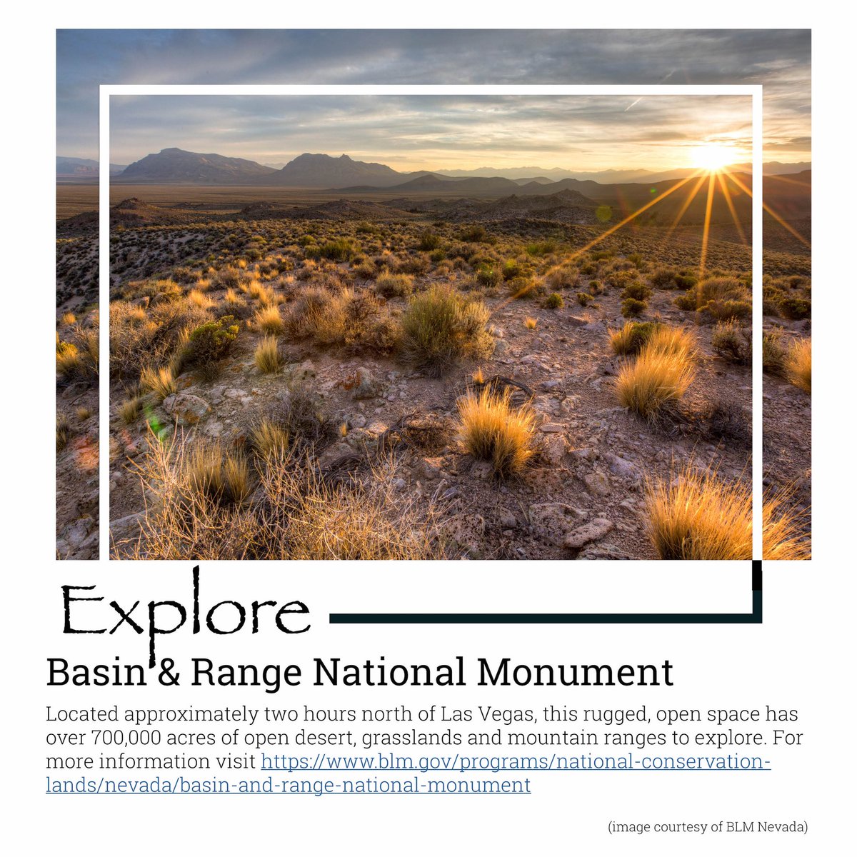 What I love most about the Basin &amp; Range National Monument is the open space. If you are tired of the crowds at your local public lands site - check out the monument.
#publiclands #nevada #blm #basinandrangenationalmonument #basinandrange #publiclands #friendsofbasinandrange