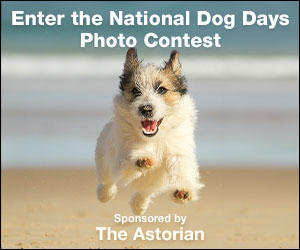 Coast Weekend tweet media