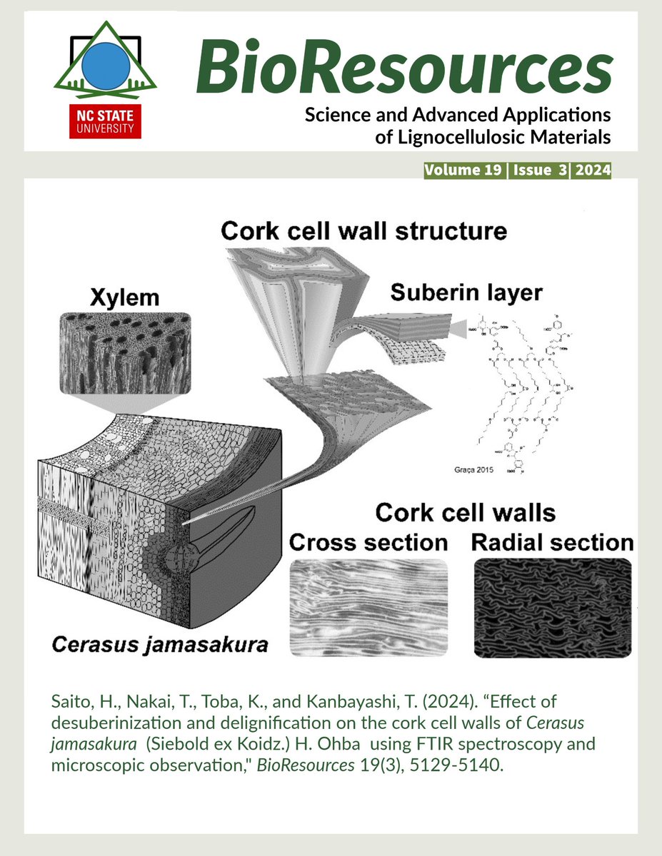 BioResJournal's tweet photo. Discover the latest issue #BioResources 19(3), now complete! https://t.co/XMSFi17M81
#BioResJournal #OpenAccess #materialsscience #cellulose #biomass #composites #adhesives #sustainability #pulpandpaper #papermaking #biofuel #woodscience #biopolymers #nanocellulose #biorefinery https://t.co/fkJmDCo6PM