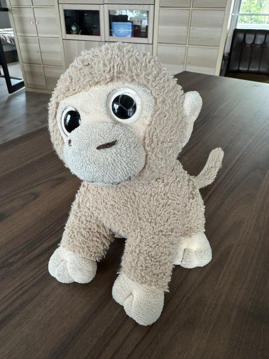 toddland #stayrad® tweet media