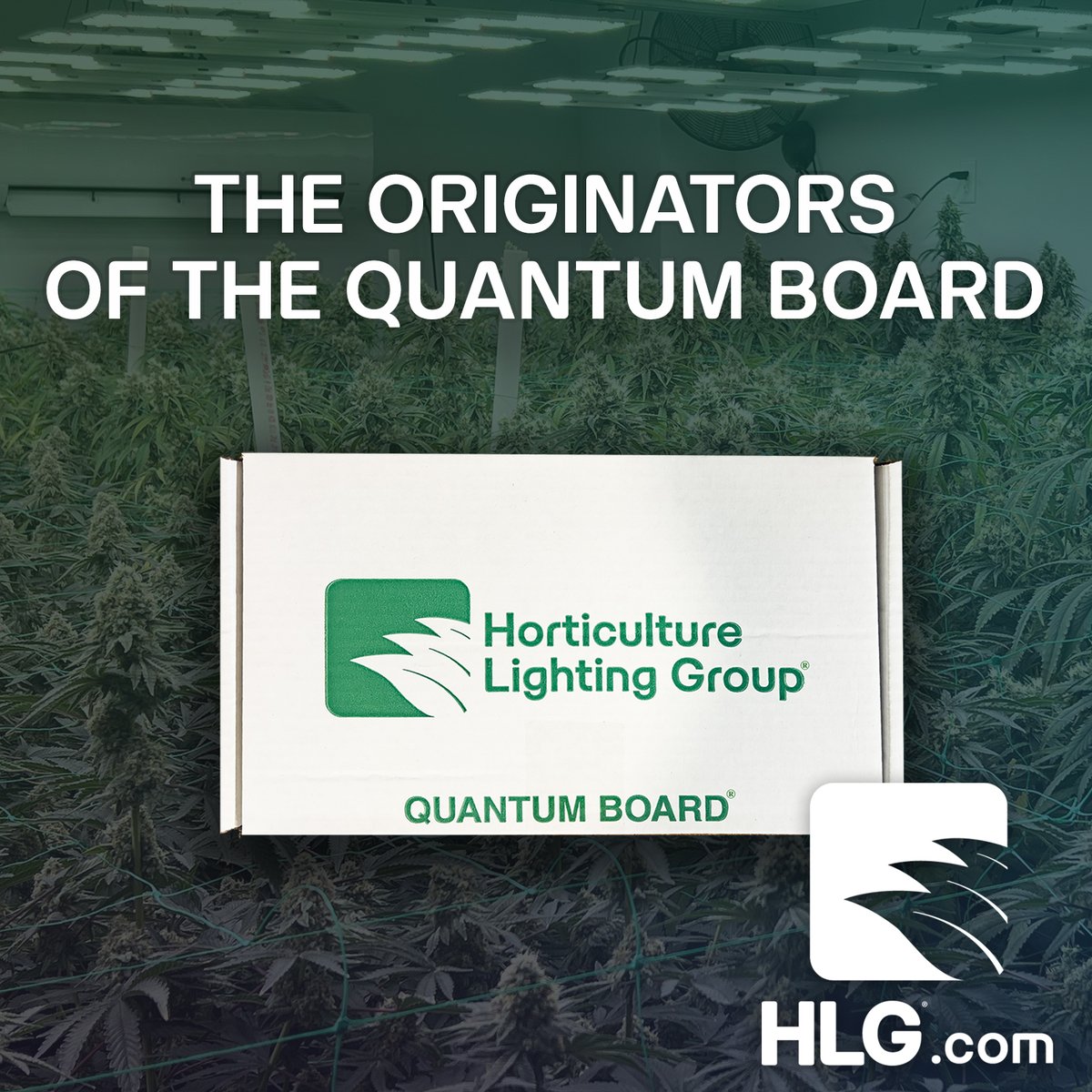 HLGLED's tweet photo. Since 2016, HLG has produced top-tier lighting products, revolutionizing the industry as the originators of the Quantum Board. 🔬💡

Join the ranks of successful growers gaining real efficiency and real yields. Message us today! 📩

#HLG #QuantumBoard #EnergyRebates #GrowLights https://t.co/r1rhUjX3pq