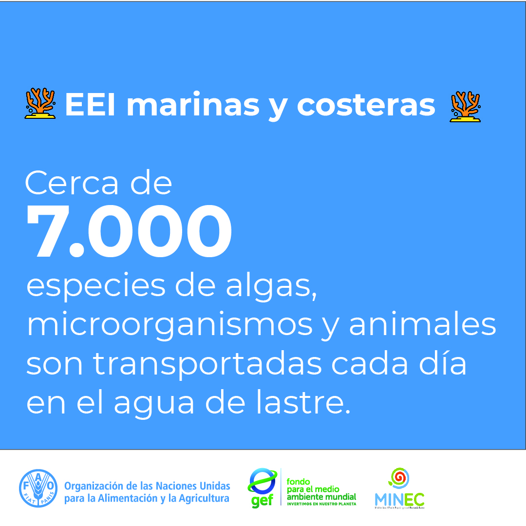 FAO_Venezuela's tweet photo. 🚢 #EEI marinas y costeras: 7.000 especies de algas, microorganismos y animales son transportadas diariamente en el agua de lastre, es decir, el agua que cargan los buques oceánicos para ganar estabilidad. https://t.co/ZPOP97Op3E